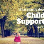 What exactly does child support cover